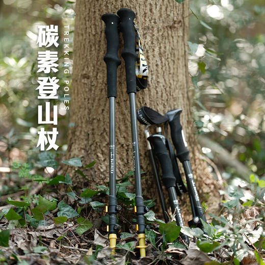 迪飞客碳素登山手杖超轻便携户外徒步爬山伸缩折叠登山杖 碳素登山杖伸缩款T1（单只装） 商品图2