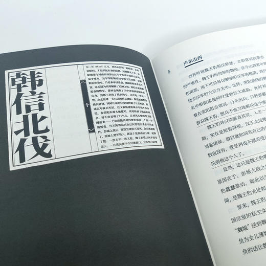 《布衣天子：汉高祖刘邦》上下册（王立群读史记系列） 商品图11