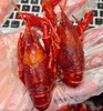 前20份破价2025新虾现做发顺丰花雕熟醉小龙虾 商品缩略图8
