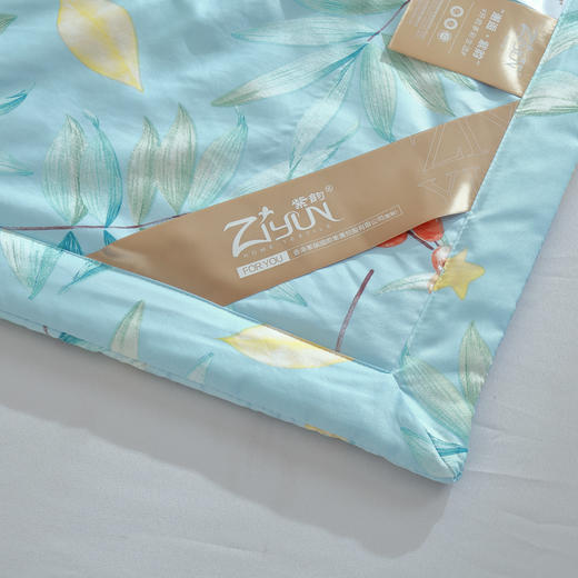 【紫韵家纺】紫韵 香缇雅冰丝被 ZY-BM1660 200*230cm 商品图2