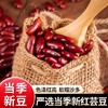 【软糯沙多！红芸豆1500g更值】颗颗饱满，粒粒甄选，易煮易烂，营养丰富！可搭红花生和红小豆一起煮粥，真空包装五谷杂粮精筛选粗粮 商品缩略图0