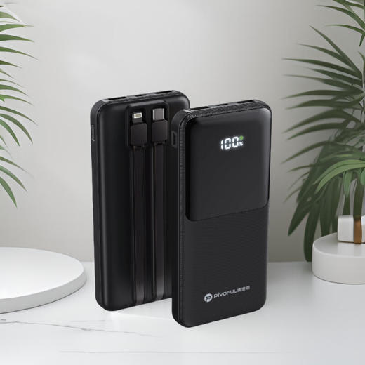 浦诺菲 星辉自带线快充移动电 商品图0