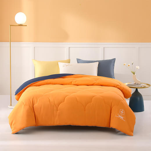 内野   橙漫吸湿发热抗菌被   HU-HY02B38 商品图1