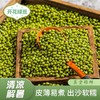 【清凉！农家自种绿豆1500g更值】当季新豆，颗粒饱满，好煮易烂，出沙软糯，明绿豆笨易煮新货五谷杂粮粗粮冰沙未脱皮 商品缩略图0