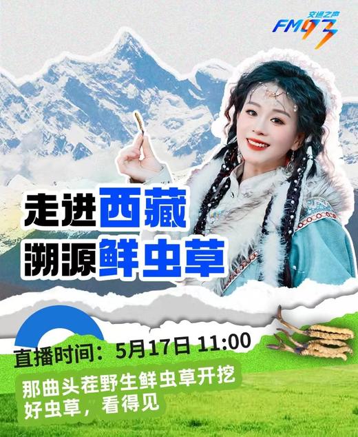 930国坤堂直播限量15根那曲头茬鲜虫草体验装（预售） 商品图0