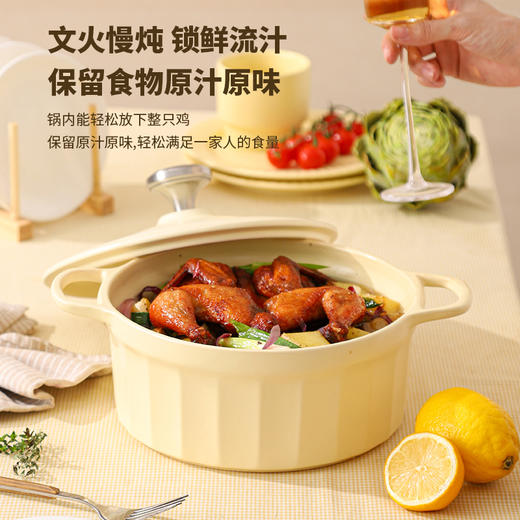 栢士德 丽达斯陶瓷砂锅BST-1025 商品图3