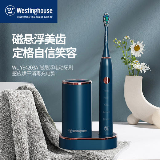 西屋    磁悬浮电动牙刷   WL-YS4203A 商品图0