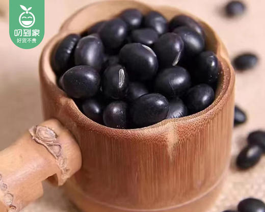 【到手2包】袁蒙青仁黑豆/1份（约420g*2包） 商品图1