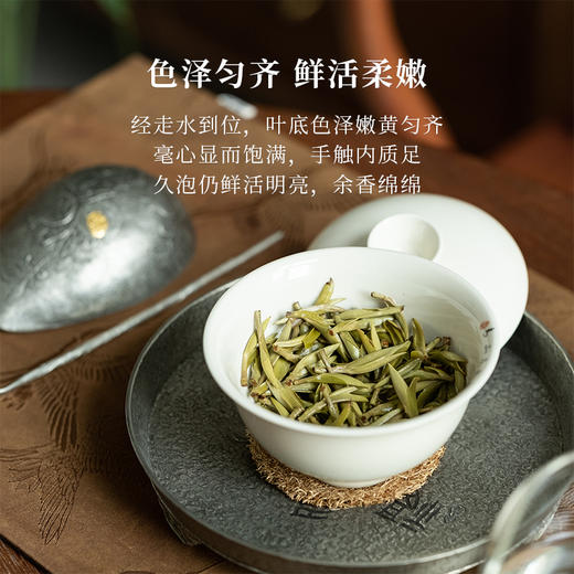 「北路白茶」老树牡丹王 福鼎白茶白牡丹2024年新茶茶叶礼盒装250g 商品图1