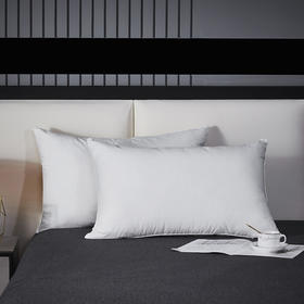 红豆星级酒店枕  HD-Z230402