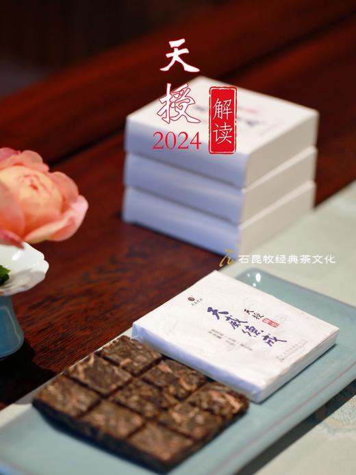 2024天授·解读  臻品古树生茶 玉宇生清风 九宫格便携易冲泡 商品图1