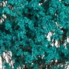 永生花材 | 水晶草蓝色 商品缩略图1
