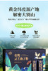 有机灵芝孢子粉众芝林营养即食冲服健康佳品1g*25条/盒 商品缩略图2
