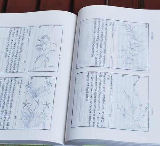 《三才图会》，精装，16开，全三册，明  王圻等编，上海古籍出版社，定价498，售价224元，品相9成左右。 商品图13