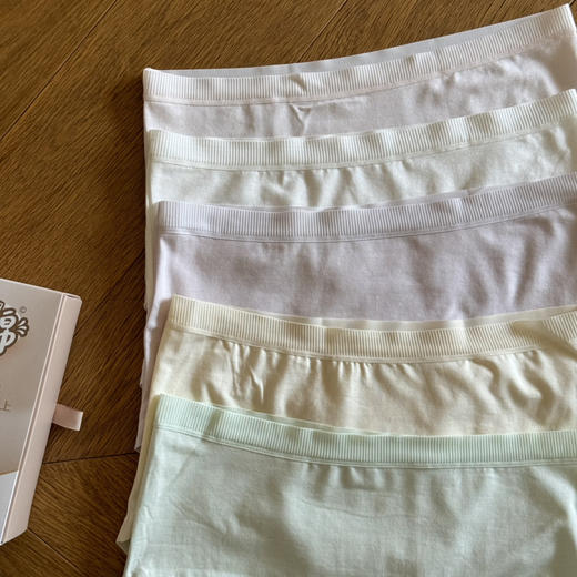 牛奶棉-超轻薄高弹内裤 5条装【涉及卫生不退换】 商品图8