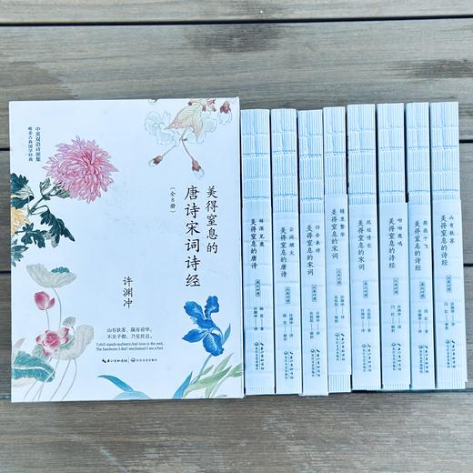 《许渊冲：美得窒息的唐诗宋词诗经》 全8册 （挚美中英双语诗画集） 赠:硫酸纸信笺套装*2；古风书签*4；苏轼真迹手稿长折页*1 商品图7