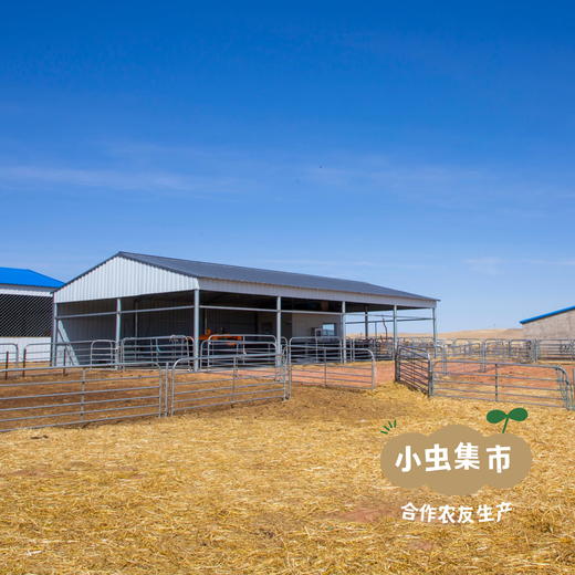 锡林郭勒生态牛肉干 250g/袋 | 合作农友生产，产自内蒙古锡林郭勒盟东部乌珠穆沁草原，生产者：何梅 *【公平贸易农人定价】 商品图11