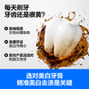 参半流光耀白牙膏100g 商品缩略图1
