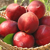 【云南·红宝石蜜桃】桃香十足，外形圆润，一桃两吃，甜脆的，软甜多汁，甘甜的桃汁在口中弥漫 商品缩略图0