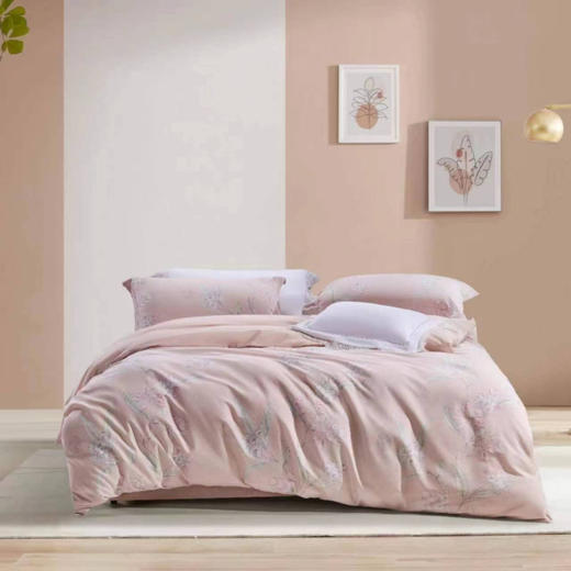 【全国包邮】水星家纺 四件套200*230cm （送七孔春秋被芯） 商品图0