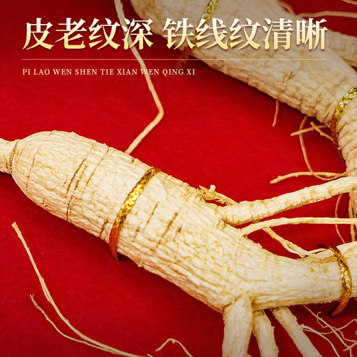 热销J【林下参50g】长白山人参林下参礼品盒装50g 商品图3