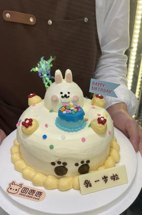 手工奶油霜小兔子款 抹面定制