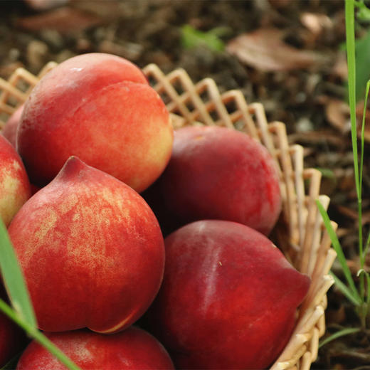 【云南·红宝石蜜桃】桃香十足，外形圆润，一桃两吃，甜脆的，软甜多汁，甘甜的桃汁在口中弥漫 商品图1