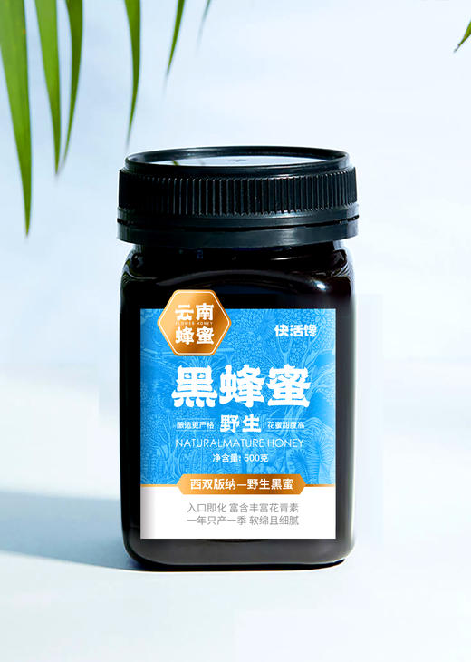 西双版纳米团花黑蜜500克 商品图0