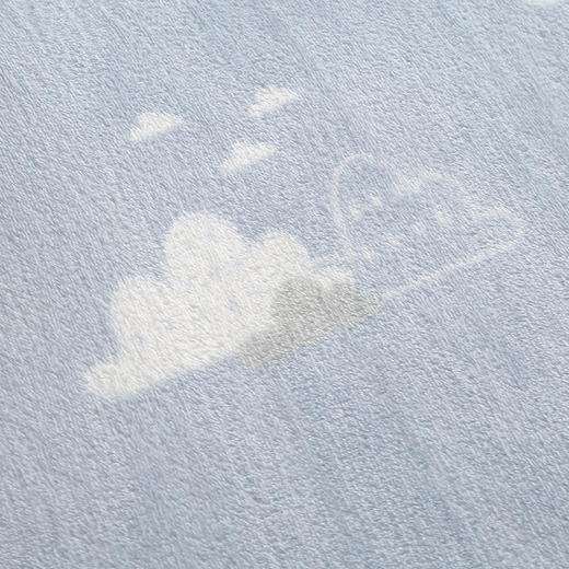 【紫韵家纺】臻爱优棉四季毯 商品图3