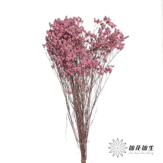 永生花材 | 水晶草粉色 商品图0