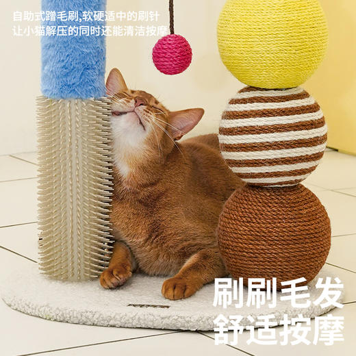 zeze卜卜球多功能抓柱-B（包邮） 商品图3