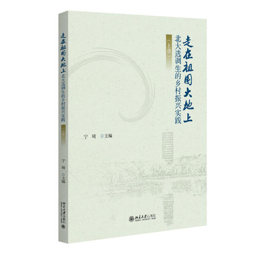 走在祖国大地上——北大选调生的乡村振兴实践（上册） 宁琦 主编 北京大学出版社 商品图0