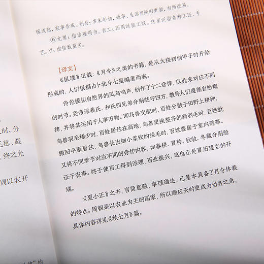 《时节气候抄》（一部关于二十四节气文化的百科全书。当古籍遇上现代美学，揭开时节与气候的千古奥秘，畅享知识与艺术的双重愉悦。引领我们探寻人类与自然和谐共生的智慧与路径。） 商品图5