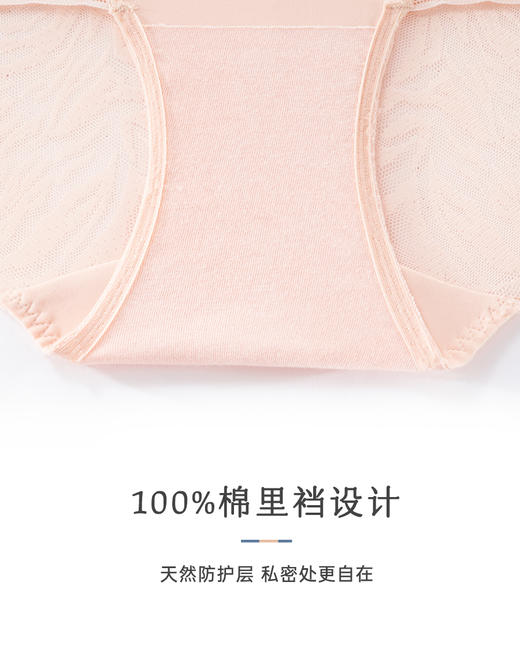 【若初】【爱慕|昕然】提臀收腹美体高腰内裤 商品图2