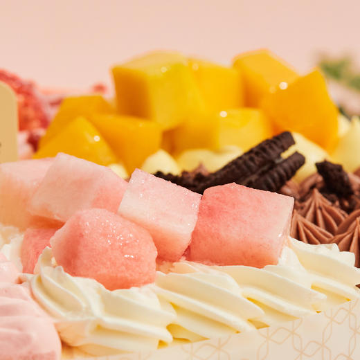 夏日倾情·冰淇淋蛋糕（4拼口味） |  梦雪龙 商品图2