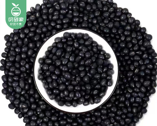 【到手2包】袁蒙青仁黑豆/1份（约420g*2包） 商品图3