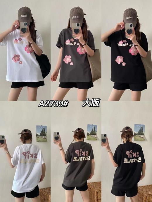 女圆领短T2739 商品图0