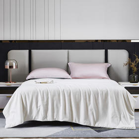 红豆  红豆蚕丝夏被– 春蚕丝语  HD-XB230111