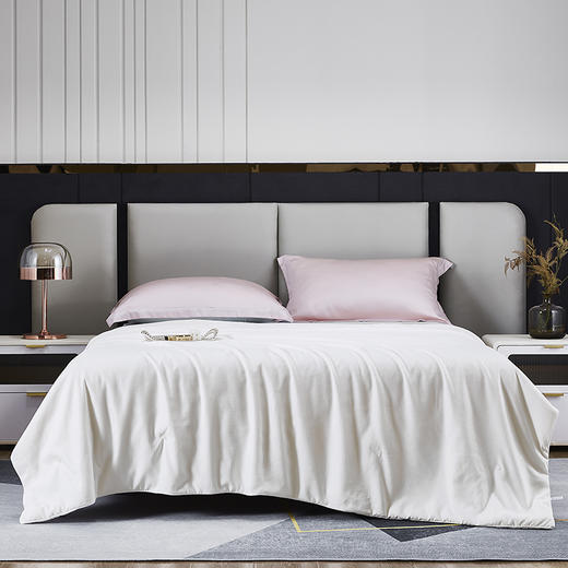 红豆  红豆蚕丝夏被– 春蚕丝语  HD-XB230111 商品图0