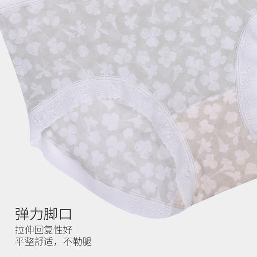 美季美优时尚蕾丝女士内裤N450206 商品图2