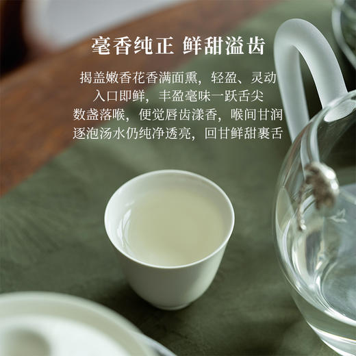 「北路白茶」天杏 福鼎白茶白毫银针2024年散茶高山高档茶叶250g 商品图2