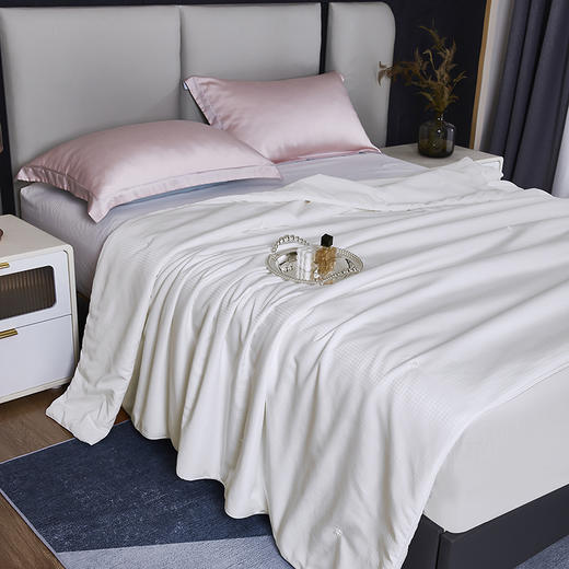 红豆  红豆蚕丝夏被– 春蚕丝语  HD-XB230111 商品图1