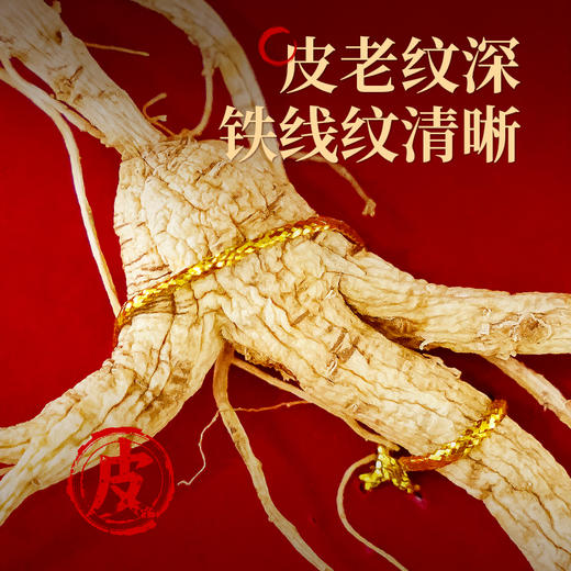 【长白山人参】林下山参开窗礼盒3g/4g/5g 商品图6
