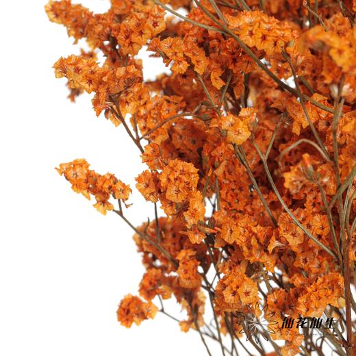 永生花材 | 水晶草橙色 商品图3