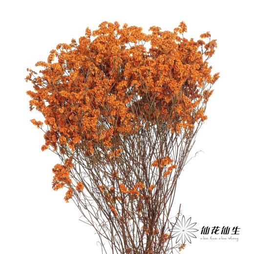 永生花材 | 水晶草橙色 商品图2