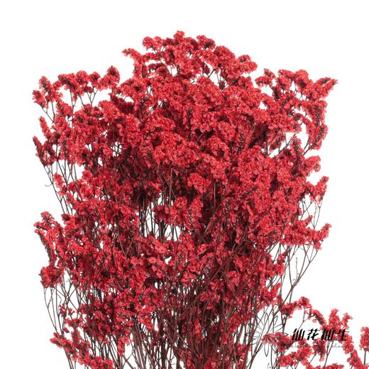 永生花材 | 水晶草红色 商品图3
