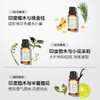 绽家6.18大促！【绽家一滴除臭香氛精油套组20ml*3瓶】 一滴除臭 满室清香 留香长达8小时  0609 商品缩略图2