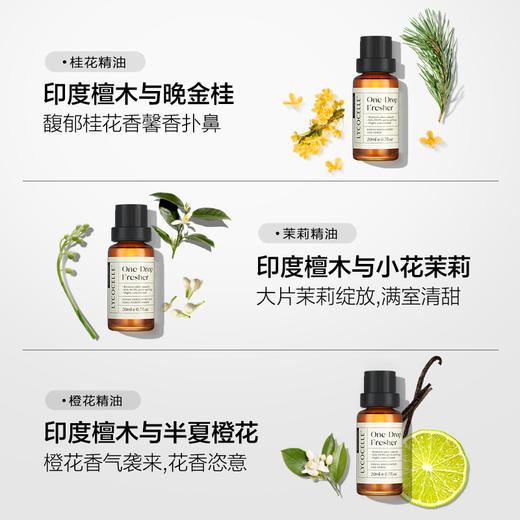 绽家6.18大促！【绽家一滴除臭香氛精油套组20ml*3瓶】 一滴除臭 满室清香 留香长达8小时  0609 商品图2