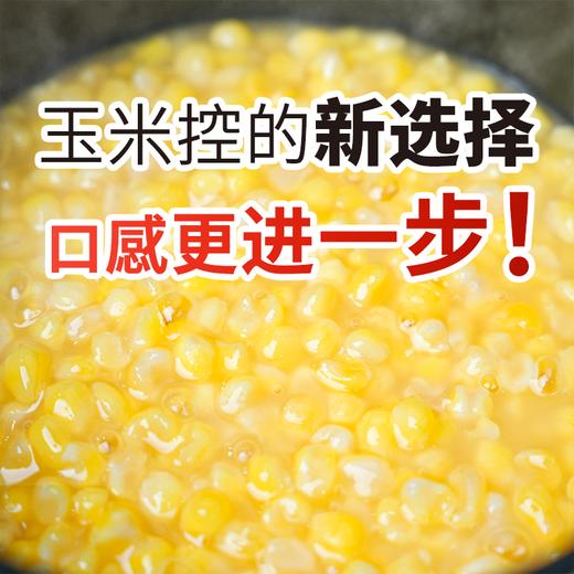 洲际山河青稞玉米碴 450g/袋  易煮易熟 低脂饱腹 商品图7