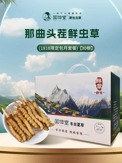 1818国坤堂那曲鲜虫草·父亲节实惠礼 商品图0